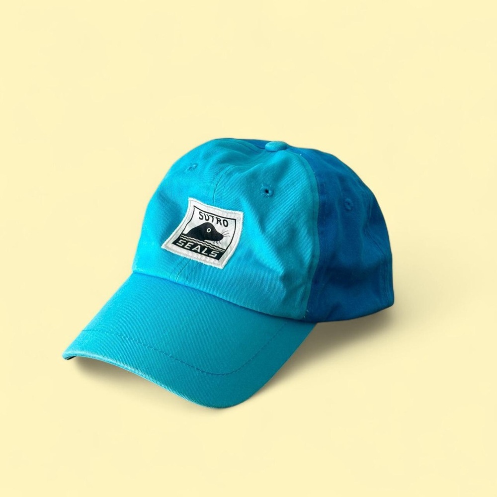 Vintage Kid’s Dad Hat - Sutro Seals San Francisco Golden Gate Park - Aqua Blue